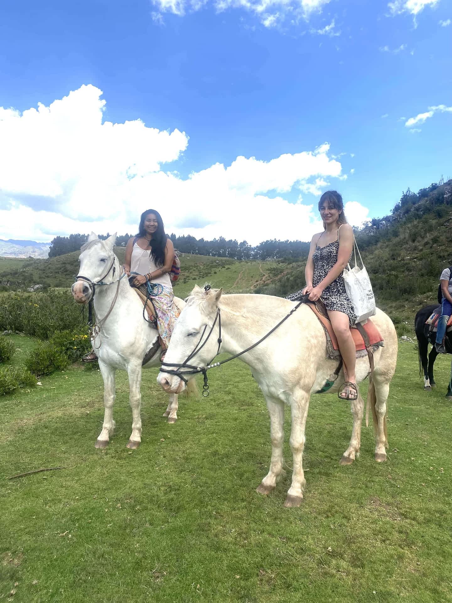 Peru journey
